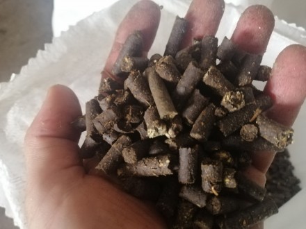 Продам пеллеты из отходов подсолнечника. Суми. фото 1 Продам пеллеты из отходов подсолнечника. Суми. фото 1