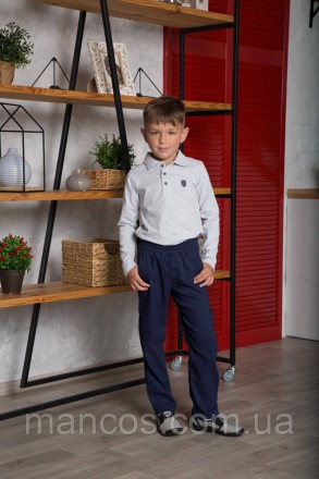 Поло с длинным рукавом для мальчика, серое, SmileTme, Смайл Тайм, Classic 152. Кривой Рог. фото 1 Поло с длинным рукавом для мальчика, серое, SmileTme, Смайл Тайм, Classic 152. Кривой Рог. фото 1