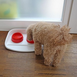 Lindo - пластиковый поднос с мисками для кошек и собак, который поможет вам сохр. . фото 8