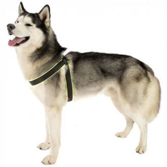 Agila - новая линейка шлеек для собак с идеальной посадкой и максимальным комфор. . фото 4
