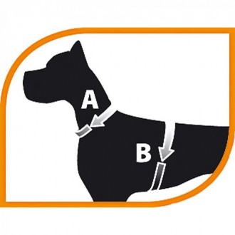 Agila - новая линейка шлеек для собак с идеальной посадкой и максимальным комфор. . фото 3