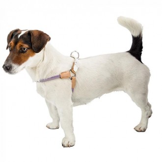 Шлейка для собак Agila Derby изготовлена из прочного нейлонового плетеного шнура. . фото 4