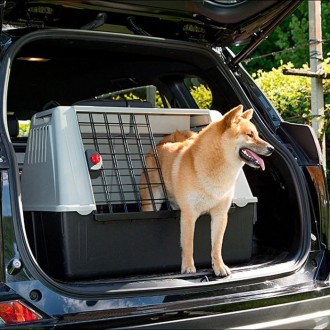 Путешествовать с собакой на машине никогда не было так просто и безопасно! Atlas. . фото 3