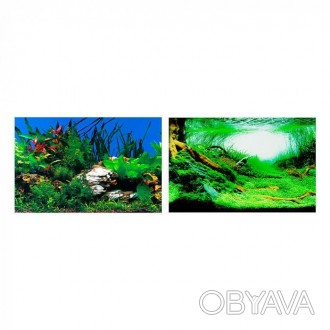  Два разных рисунка с растениями для аквариума. Фон изготовлен из пленки и выпус. . фото 1