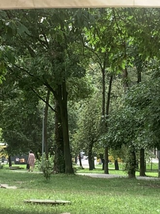 Терміново. Виннички. фото 1 Терміново. Виннички. фото 1