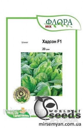 Шпинат Хадсон 20г А