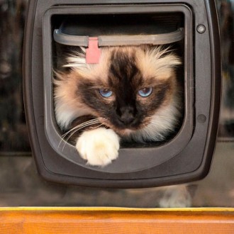 Новая дверка для кошек Swing Microchip имеет специальную антенну, которая опреде. . фото 5