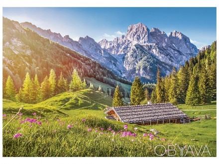 Пазлы Castorland "Лето в Альпах" 500 эл. B-53360 ish 
Отправка товара:
• Срок: 1. . фото 1