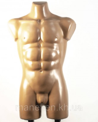 Чоловічий Торс об'ємний пластмасовий тілесного кольору Давид на подвійний підста. . фото 2