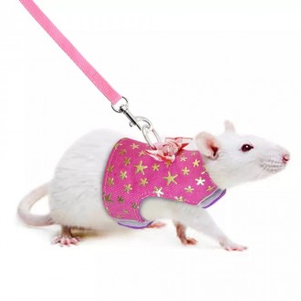 Гламурная шлейка с поводком для выгула крысы в виде мягкой жилетки.Изготовлена и. . фото 4