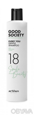 Artego 18 Every You Gentle Shampoo - это нежный шампунь для ежедневного применен. . фото 1