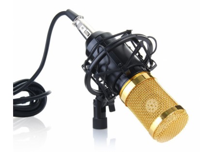 Микрофон M-800 можно использовать абсолютно в любых целях. Отлично справится с р. . фото 3