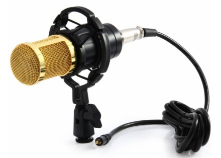 Микрофон M-800 можно использовать абсолютно в любых целях. Отлично справится с р. . фото 4