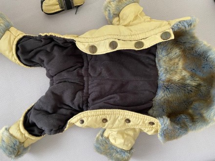Зімовий костюм для дрібної породи собак з чобітками. Кашемірова підкладка,вітроз. . фото 3