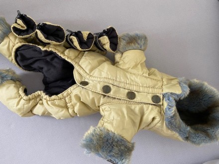 Зімовий костюм для дрібної породи собак з чобітками. Кашемірова підкладка,вітроз. . фото 4