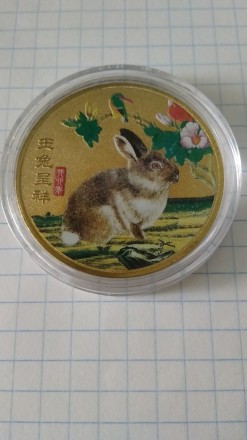 Колекційна монета Рік кролика. Монета нова. Розмір: 40*3 мм. Є срібний і золотий. . фото 2