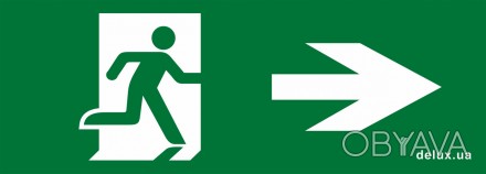 Інформаційна наліпка 119х323мм Exit Right (REL803) для авар.світильника. . фото 1