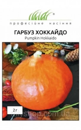 Гарбуз Хоккайдо 2 гр Професійне насіння Нидерланды. Лубни. фото 1 Гарбуз Хоккайдо 2 гр Професійне насіння Нидерланды. Лубни. фото 1