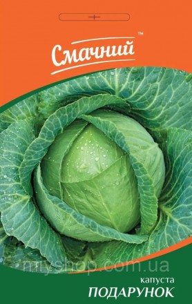 Капуста пізня Подарунок 1гр Смачний. Лубны. фото 1