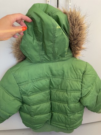 Куртка унисекс на сезон осень-зима зелёного цвета. Размер 110 см (5-6 лет), длин. . фото 4