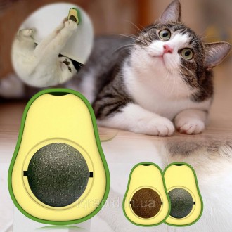 Шарик кошачьей мяты TOYS avocado
Кошачья мята, мята игрушка для котов и кошек, ш. . фото 2