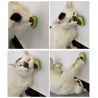 Шарик кошачьей мяты TOYS avocado
Кошачья мята, шарик-игрушка с кошачьей мятой, л. . фото 11