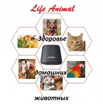 Портативное устройство для лечения животных Life Animal серии WebWelllness предн. . фото 5