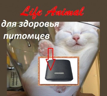 Портативное устройство для лечения животных Life Animal серии WebWelllness предн. . фото 3