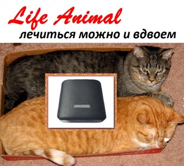 Портативное устройство для лечения животных Life Animal серии WebWelllness предн. . фото 4