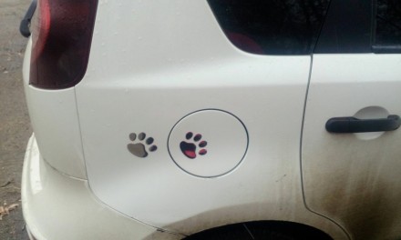 3D Наклейка в виде следов от собачьих лапок, украсит Ваш автомобиль
Самоклеющие. . фото 7