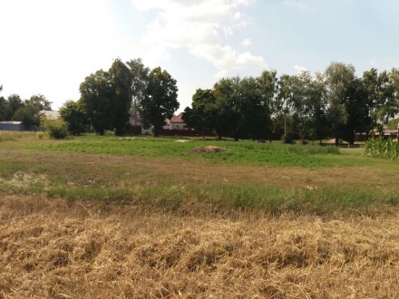 Продаєтся земельна ділянка 25 соток в селі Рудня, Броварського району. Підведені. . фото 4