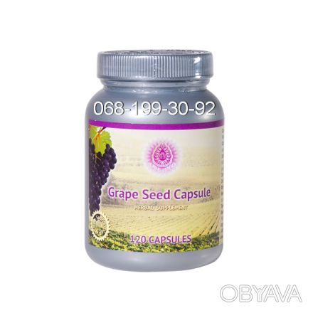 Экстракт виноградной косточки- Grape seed capsule ( 120 капс) является биологиче. . фото 1