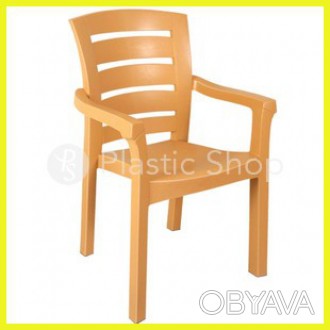 Характеристики товара : "Пластиковое кресло "Didim""
Производитель:
 Irak Plasti. . фото 1