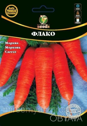 Семена моркови Флако - среднеспелый сорт 120-130 дня. Корнеплоды оранжевого цвет. . фото 1