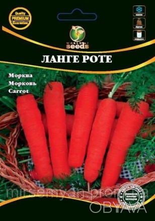 Среднеспелый сорт. Вегетационный период 125-130 дней. Корнеплоды конусовидной фо. . фото 1