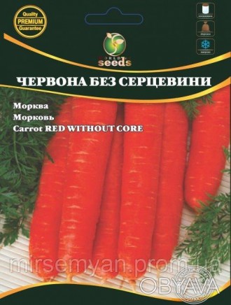 Морковь Красная без сердцевины Позднеспелый сорт, техническое созревание происхо. . фото 1