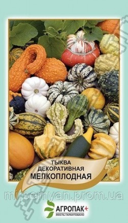 Тыква мелкоплодная декоративная - 10 семян А. Тернопіль. фото 1 Тыква мелкоплодная декоративная - 10 семян А. Тернопіль. фото 1