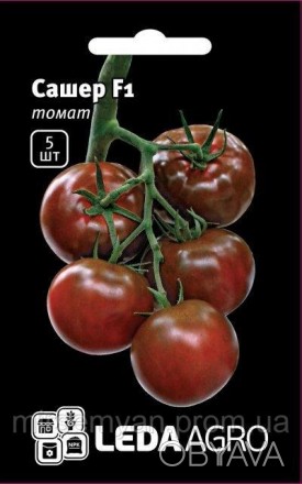 Гибрид нового поколения. Раннеспелый индетерминантный темно плодотворный томат с. . фото 1