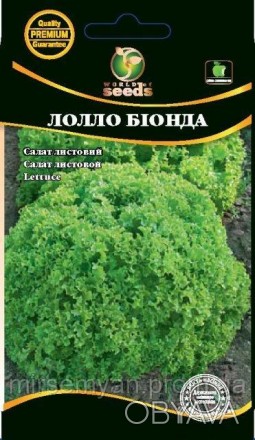 Раннеспелый листовой салат, предназначенный для выращивания с весны до поздней о. . фото 1