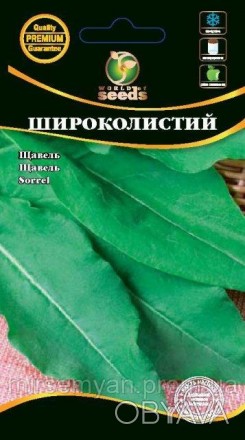 Зимостойкий, раннеспелый высокоурожайный сорт. От появления всходов до сбора уро. . фото 1