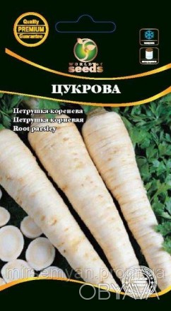 Сорт корневой петрушки. Листовая розетка раскидистая, темно-зеленая, из 20-40 ли. . фото 1