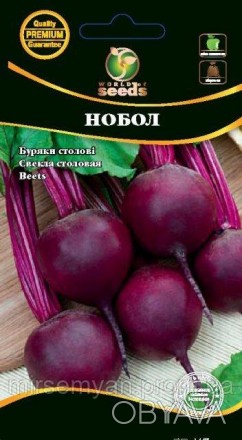 Высокоурожайный ранний сорт столовой свеклы для потребления в свежем виде, хране. . фото 1