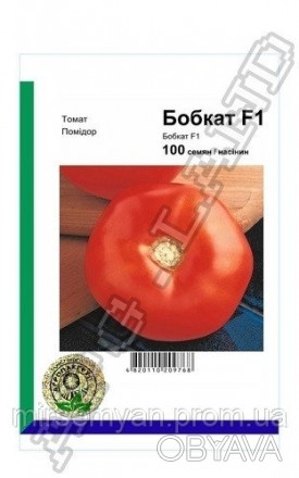 Среднеранний крупноплодный томат для потребления в свежем виде. Плоды крупные (2. . фото 1