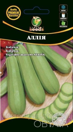 Кабачки Аллия
Сверхранний сорт, кустового типа. Плодоносит в течение лета, до по. . фото 1