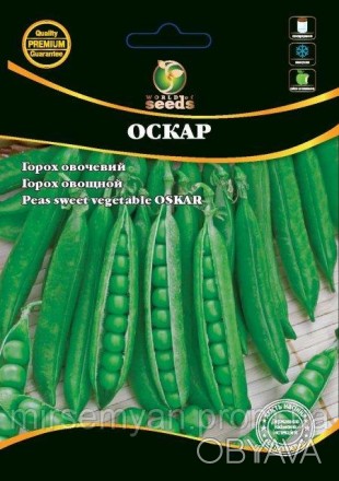 Горох овощной Оскар сорт овощного гороха, с очень ранним созреванием (55-60 дней. . фото 1
