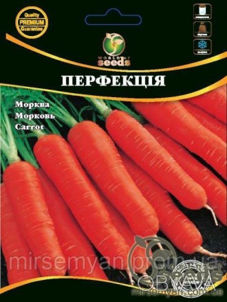 Морковь Перфекция
Среднепоздний сорт. Вегетационный период 140-160 дней. Формиру. . фото 1