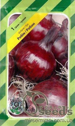 Робин 
Среднеранний (108 дней) сорт красной салатной лука полудлинных дня, адапт. . фото 1