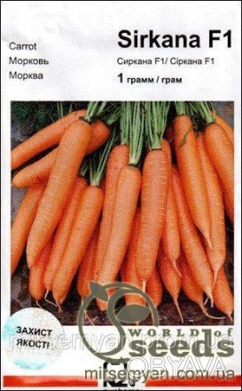 Новый гибрид моркови нантского типа для хранения, переработки и реализации в све. . фото 1