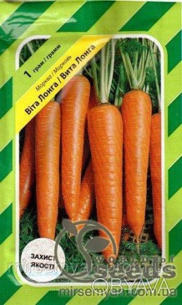 Вита Лонга 
Поздний (145 дней) высокоурожайный сорт моркови Флаккийського типа д. . фото 1