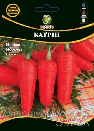 Среднеспелый сорт, период от всходов к технической спелости 110-120 дня. Корнепл. . фото 1